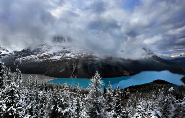 Banff National Park, Canada, Peyto Lake
