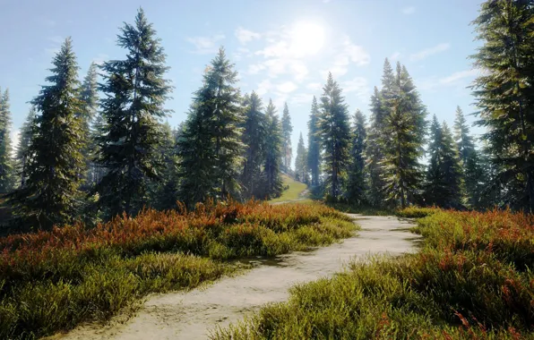 Природа, Дорога, Тропинка, Деревья, Лес, Арт, Hunter, theHunter: Call of the Wild