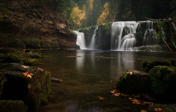 Картинка осень, лес, природа, озеро, водопад