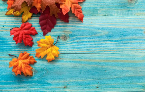 Картинка листья, осень, дерево, клён