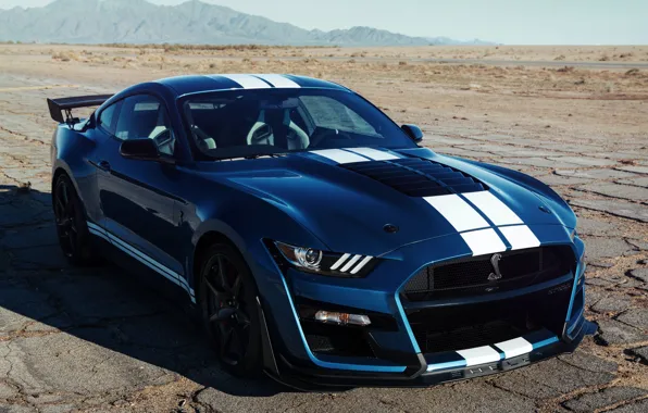 Картинка синий, Mustang, Ford, Shelby, GT500, 2019, старый асфальт