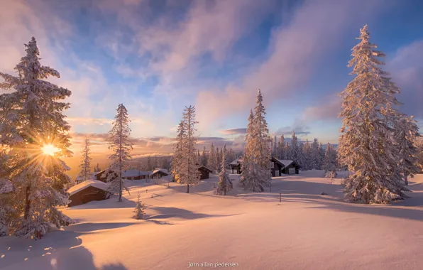 Картинка зима, солнце, лучи, свет, снег, дома, Норвегия