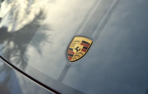 911, Porsche, logo, badge, Porsche 911 Sport Classic