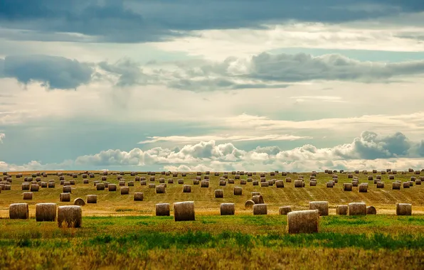 Картинка небо, трава, облака, поля, горизонт, сено, сельская местность, фермы
