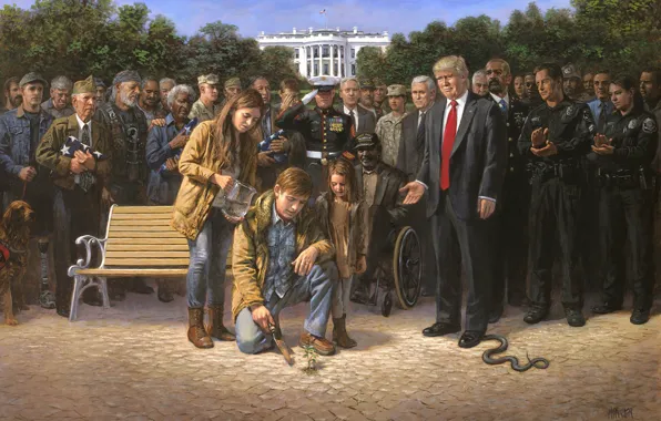 Картинка ветеран, Вашингтон, президенты, сша, капитолий, Белый дом, Дональд Трамп, Трамп