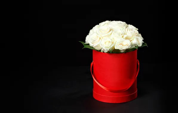 Картинка цветы, коробка, розы, букет, белые, черный фон, красная