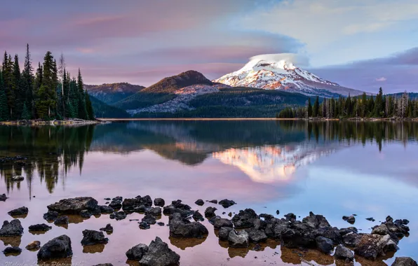 Картинка лес, озеро, гора, вечер, Орегон, США, штат, Рейнир