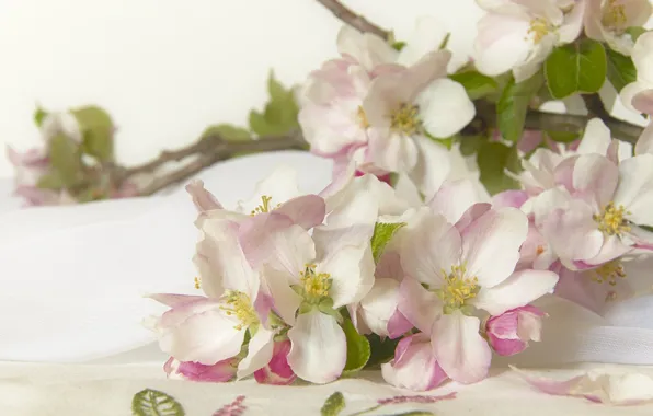 Цветы, Цветение, Цветущие Ветки, Apple Blossom