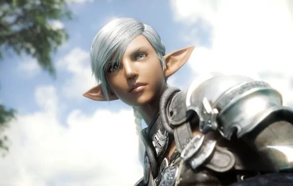 Лицо, final fantasy, elezen, ff xiv