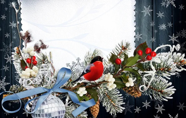 Зима, снежинки, птица, ветка, Новый год, снегирь, bird, New Year