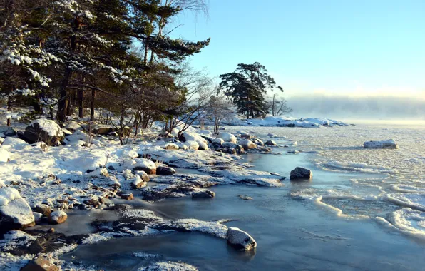 Картинка Finland, Helsinki, Uusimaa, Kallahti