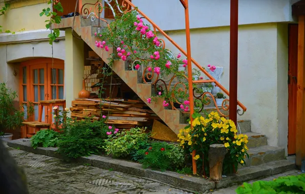 Цветы, Лестница, Дом, Flowers, Colors, Двор