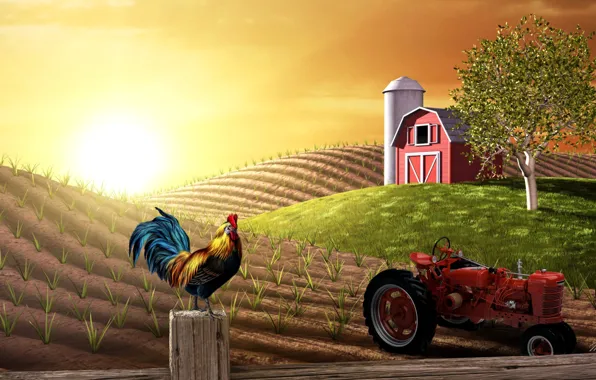 Картинка поле, коллаж, трактор, ферма, петух