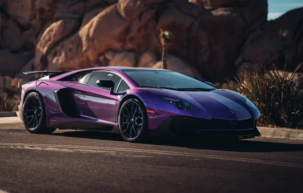 Lamborghini, суперкар, Aventador, HRE, Superveloce, LP-750, Aventador SV, Viola Parsifae