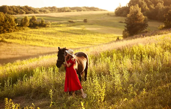 Картинка поле, трава, девушка, горы, фото, лошадь, луг