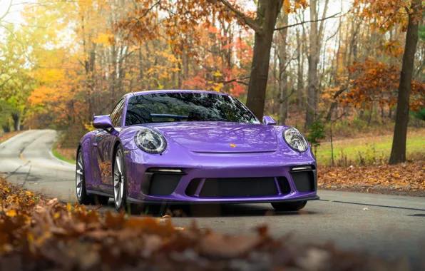 911, Porsche, Autumn, Turbo S, Forest, 992