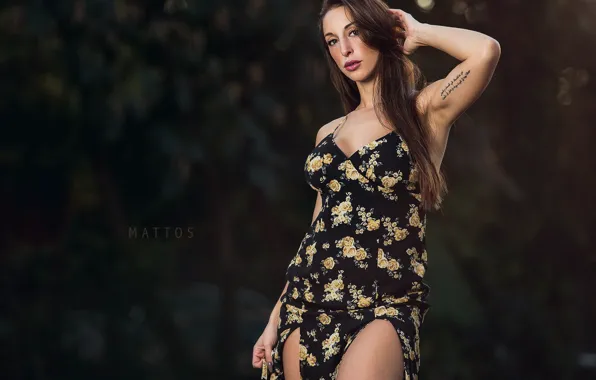 Картинка взгляд, девушка, Samantha Shane