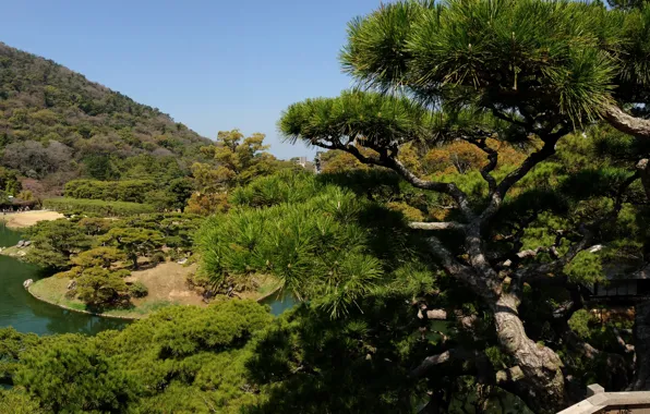 Зелень, деревья, Япония, сад, водоем, Takamatsu, Ritsurin garden