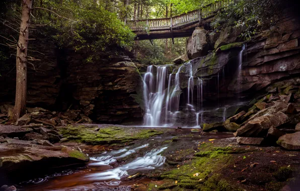 Картинка камни, водопад, США, мостик, Blackwater Falls State Park