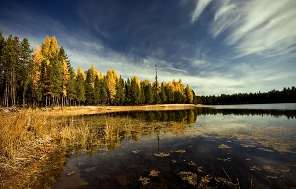 Картинка осень, лес, небо, облака, деревья, пейзаж, природа, река