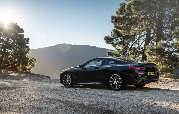 BMW, вид сзади, Coupe, 2018, 8-Series, M850i, XDrive