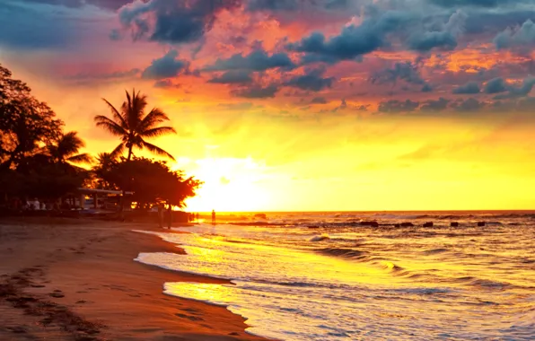 Картинка песок, море, пляж, закат, тропики, пальмы, берег, beach