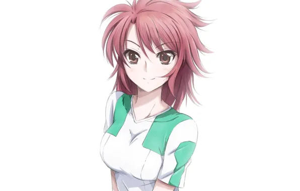 Картинка девушка, фон, anime, art, Mahouka Koukou no Rettousei, Erika Chiba