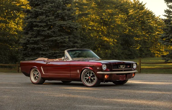 Картинка Mustang, Ford, muscle car, Ringbrothers, 1965 Ford Mustang Convertible, Ford Mustang Uncaged