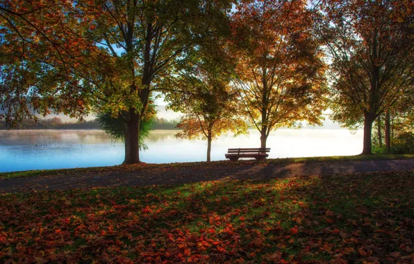 Осень, деревья, скамейка, озеро, парк, листва