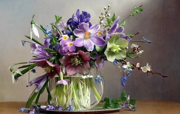 Картинка цветы, ветки, стол, крокусы, ваза, первоцветы, поднос, морозник