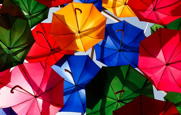 Яркие, зонты, разноцветные