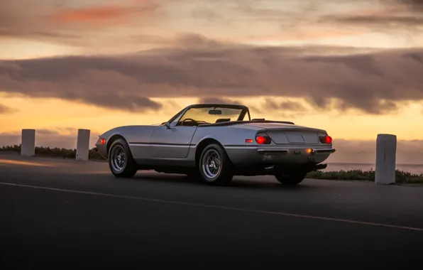 1971, Ferrari, 365, Ferrari 365 GTS/4 Daytona