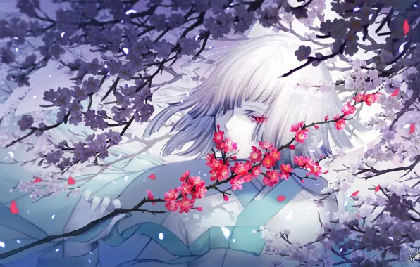 Картинка девушка, цветы, ветка, сакура, белые волосы, danhu