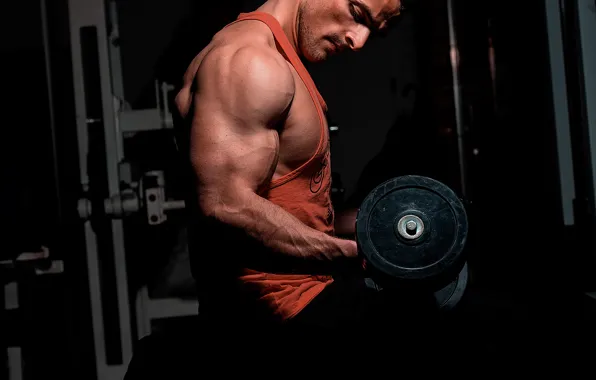 Поза, muscle, мышцы, тренировка, бицепс, gym, training, weight