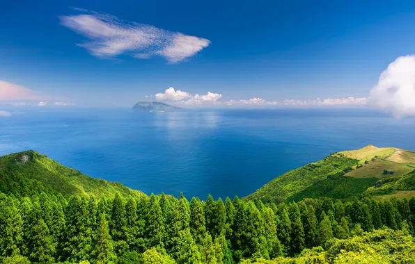 Portugal, San Miguel, Azores, Bernardo Suárez Falcón