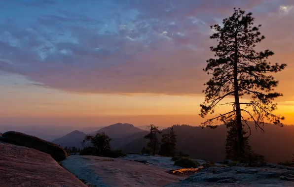 Картинка sunset, usa, beetle rock, sequoia national park