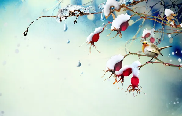 Картинка снег, ягоды, лёд, ветка, птичка