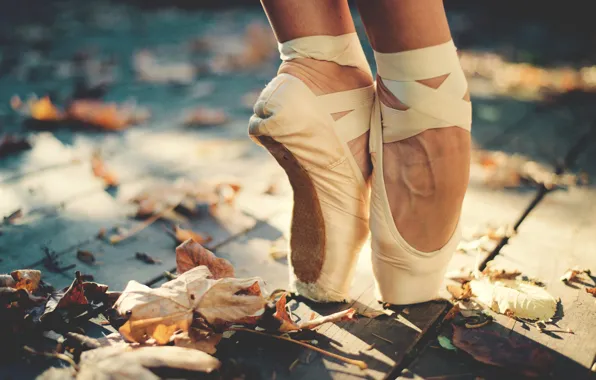 Картинка осень, листья, солнце, ноги, палуба, балерина, пуанты