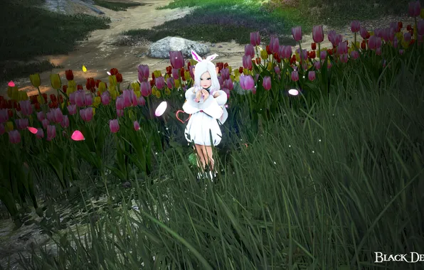 Милашка, Black Desert, Шай, Meligora