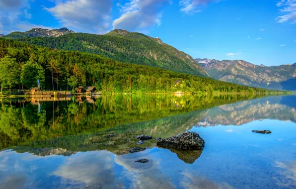 Лес, пейзаж, горы, озеро, отражение, forest, mountain, lake