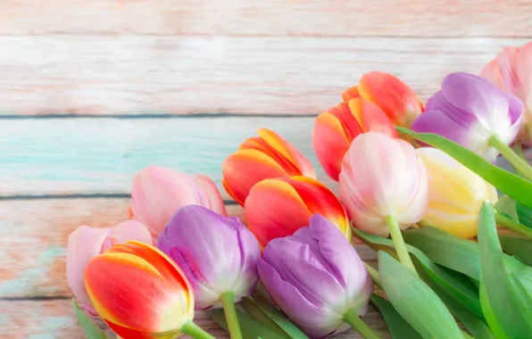 Картинка цветы, букет, весна, colorful, тюльпаны, бутоны, fresh, flowers