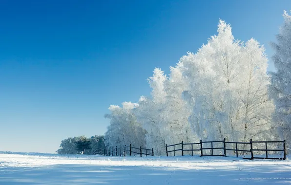 Зима, снег, деревья, забор