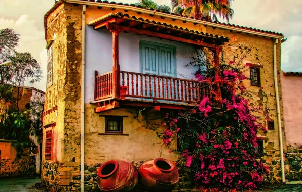 Картинка Цветы, Рисунок, Балкон, Арт, Art, Flowers, Кипр, Cyprus