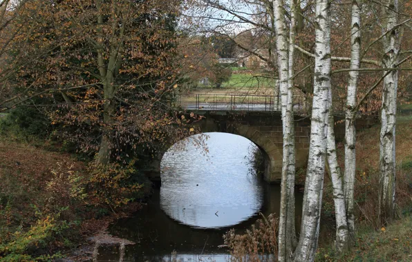 Картинка Осень, Канал, Fall, Bridge, Autumn, Мостик, Canal