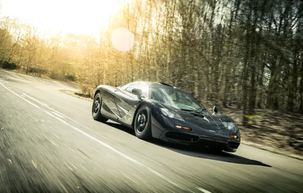 McLaren, Front, Black, Road, Supercar, McLaren F1, Forest