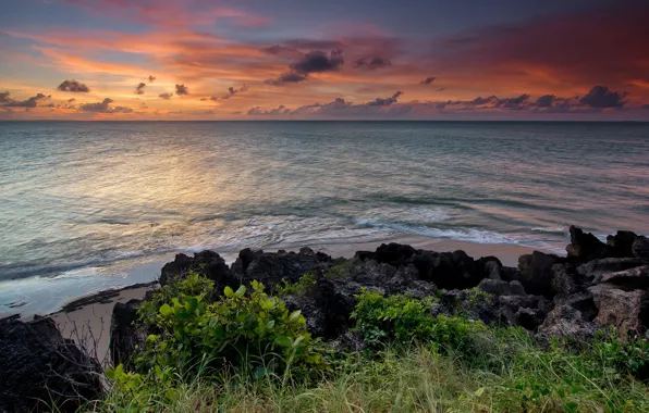 Море, пейзаж, закат
