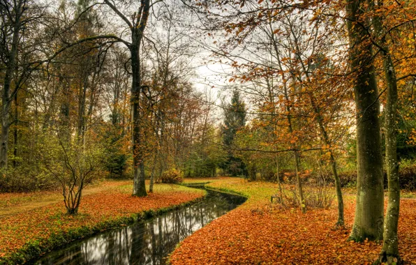 Картинка осень, пейзаж, природа, парк