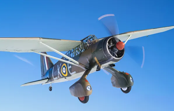 Самолет, Винт, RAF, Вторая Мировая Война, Шасси, Кокпит, Westland Lysander, Самолет взаимодействия с войсками