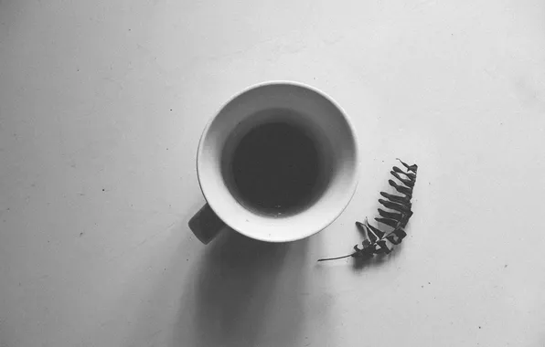 Cup, leaf, coffee