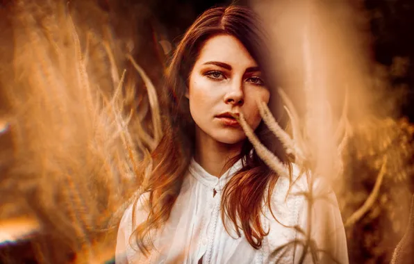 Картинка лето, взгляд, девушка, фон